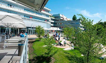 Die Universität Ulm fördert mit den Ulmer Lehrinkubatoren neue und innovative Projekte in der universitären Lehre.